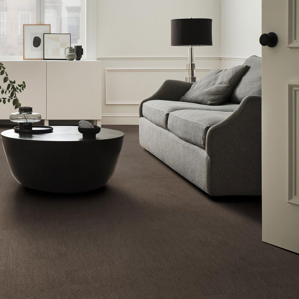 Anderson Tuftex Luxe Feel II Carpet in Mesquite, , large
