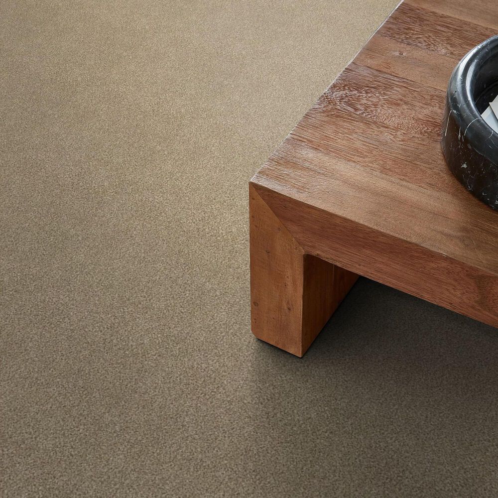 Shaw Tonal Comfort Blue Carpet in Honey Tea, , large