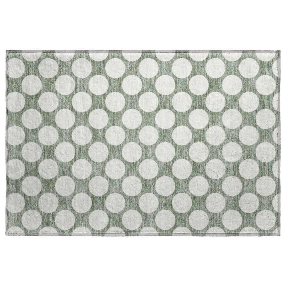 Dalyn Rug Company The Reserve TR13 Sage 2"6" x 3"10" Indoor/Outdoor Area Rug, , large