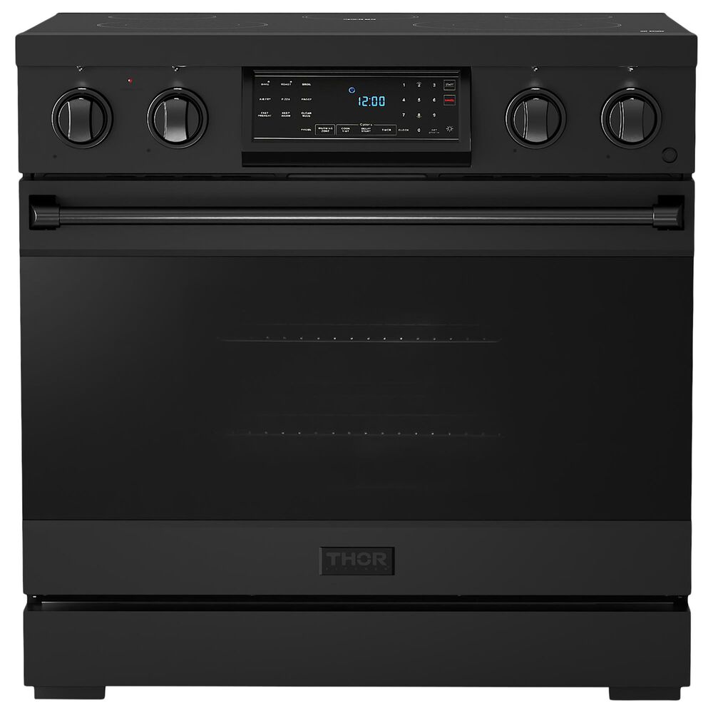 Thor Kitchen Gordon Ramsay 6 Cu. Ft. Professional Electric Range in Black, , large