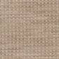 Masland Wonderwall Carpet in Sensibility, , large