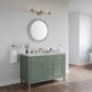 James Martin Vanities Chicago 48" Single Bathroom Vanity in Smokey Celadon with 3 cm Eternal Jasmine Pearl Silestone Top, Rectangular Sink and FreePower Wireless Charger, , large