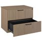 Regency Global Sourcing Legacy 2-Drawer Lateral File in Noble Oak, , large