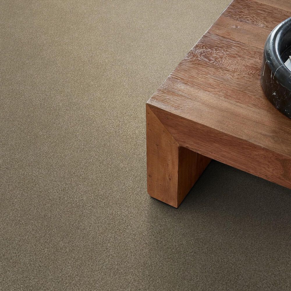Shaw Tonal Comfort I Carpet in Honey Tea, , large