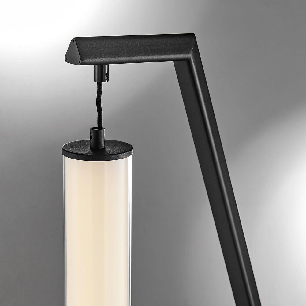 Lite Source Wilfred Floor Lamp in Black, , large