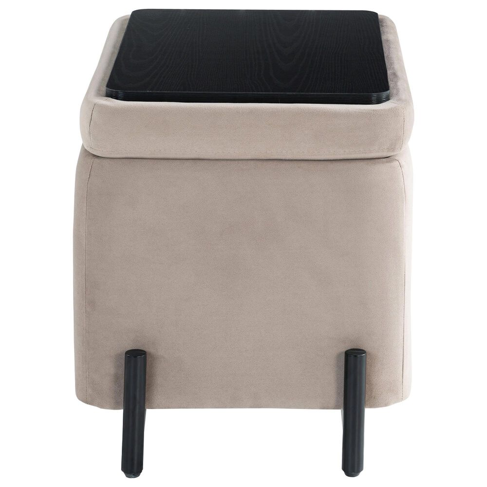 Lifestyle Solutions Kona Small Storage Ottoman in Taupe, , large
