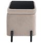 Lifestyle Solutions Kona Small Storage Ottoman in Taupe, , large