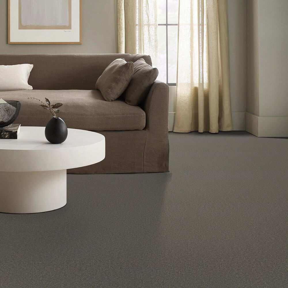 Anderson Tuftex Elegant Beauty Carpet in Lunar Rock, , large
