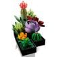 LEGO Botanicals Collection Succulents, , large