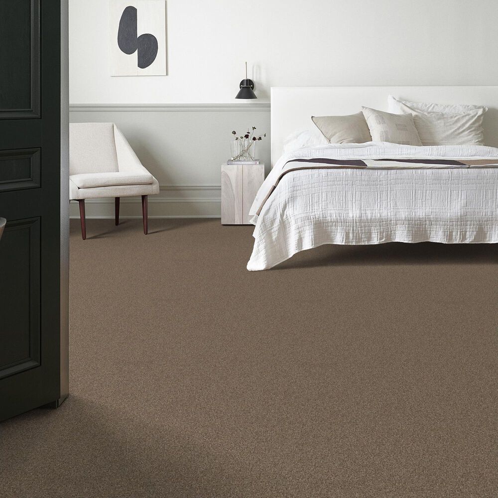 Anderson Tuftex Terra Nova Carpet in Joshua Tree, , large