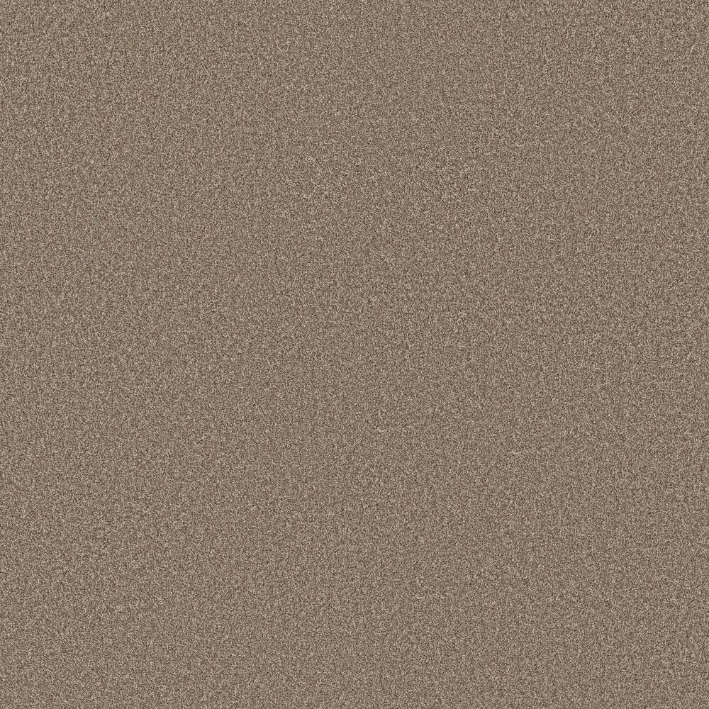 Shaw Imaginable II Carpet in Clay, , large