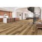 Alston Casablanca Eden Oak Hardwood, , large