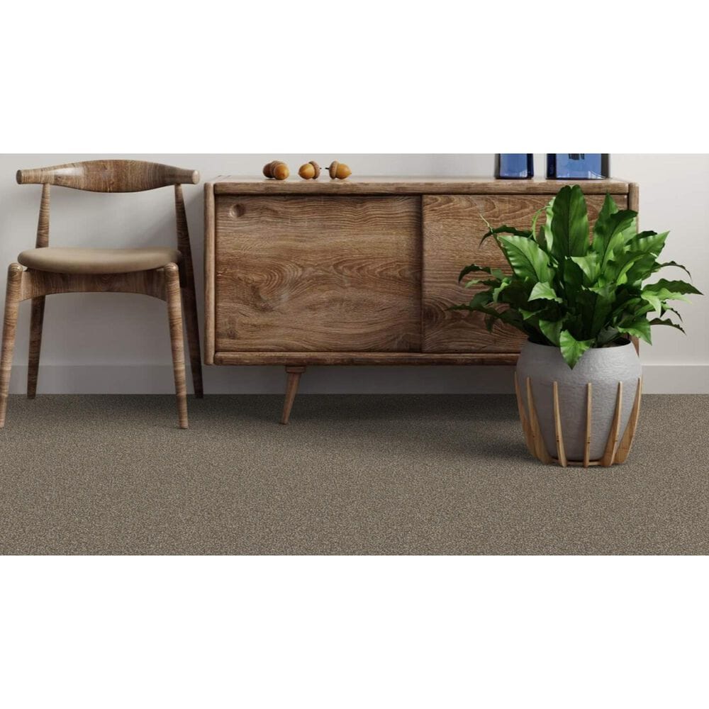 Dixie Home Bella Carpet in Pinscher, , large