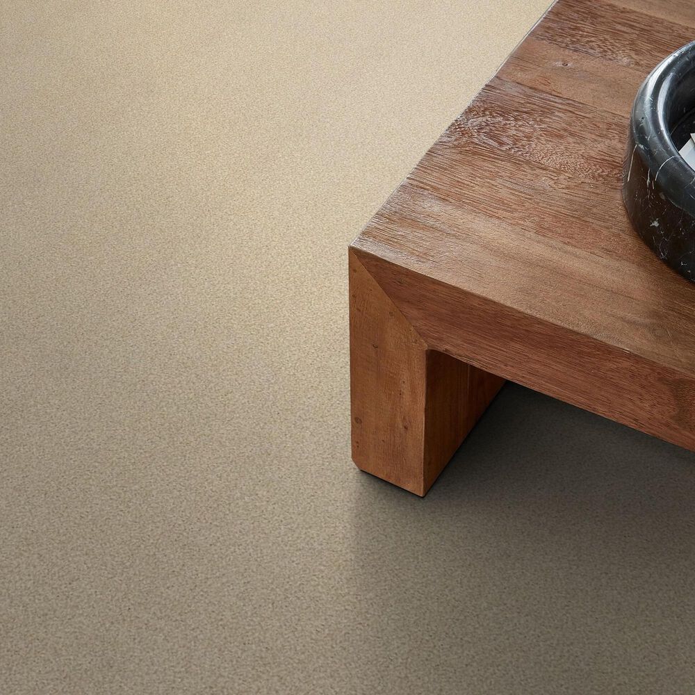 Shaw Tonal Comfort I Carpet in Sun Kissed, , large