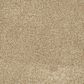 Mohawk Natural Refinement II Carpet in Mushroom Cap, , large