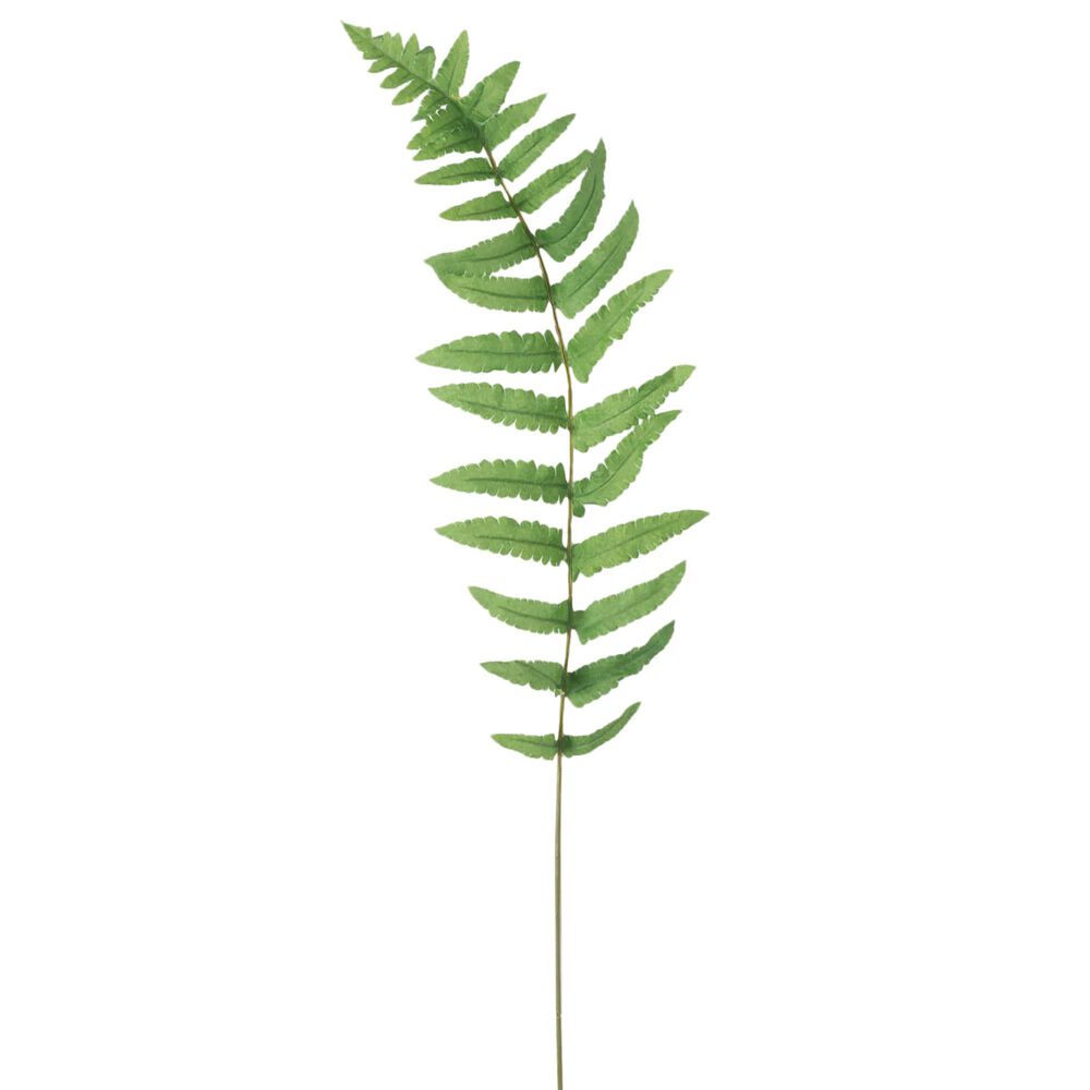 Sullivan 27" Fern Spray in Green, , large