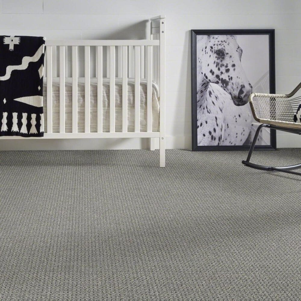 Anderson Tuftex Fetch Carpet in Monument, , large