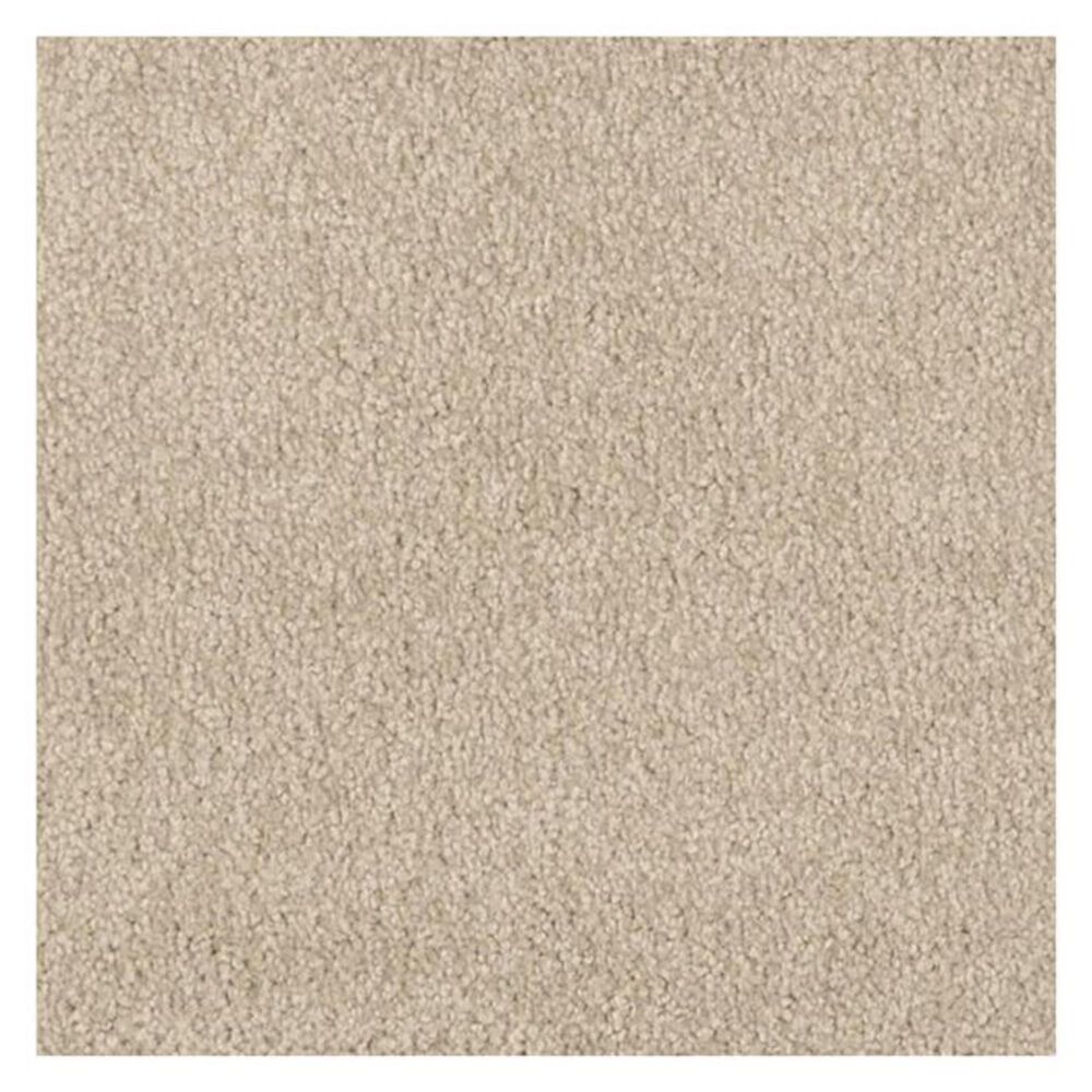 Masland Carpets Inc Miami Carpet in Alphano, , large
