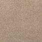 Mohawk Luxuriant Life Carpet in Tradition, , large