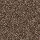 Shaw Tonal Comfort Ii Carpet in Cliff Hiking, , large