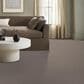 Anderson Tuftex Terra Nova Carpet in Pashmina, , large