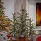 The Gerson Company 3-Piece Pine Trees with Wrapped Base Set in Green, Black and White, , large