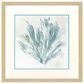 Paragon 30" Square Sea Coral I Wall Art in Blue, , large