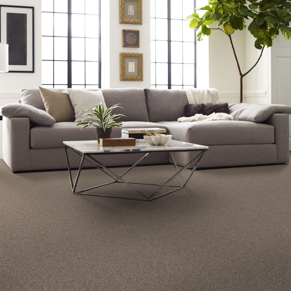 Shaw Yes You Can II Carpet in Subtle Clay, , large