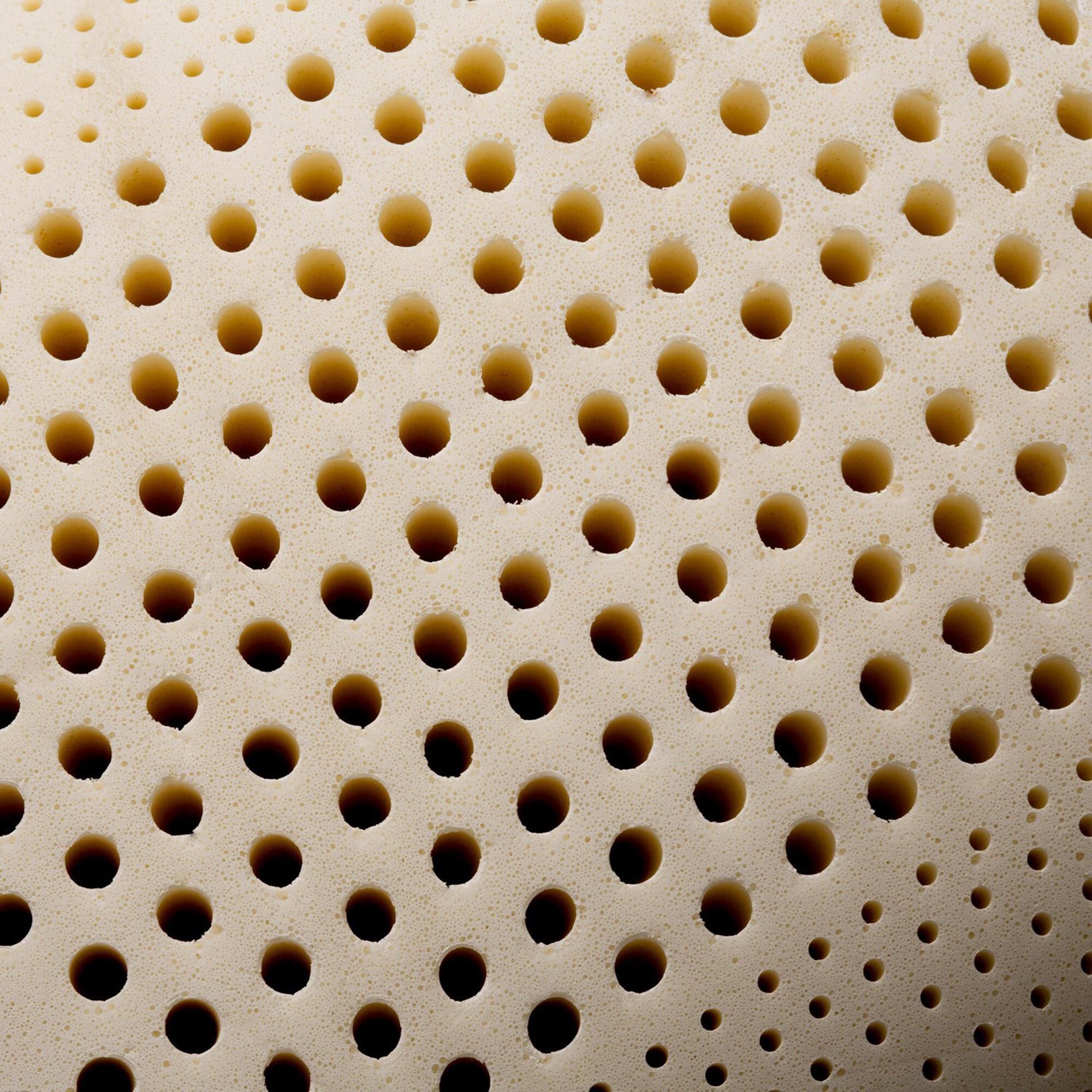 High loft sales latex pillow