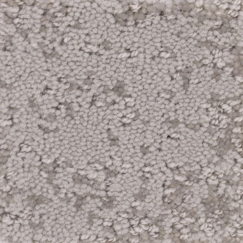 Anderson Tuftex Caress Artistic Presence Carpet in Baltic Stone, , large