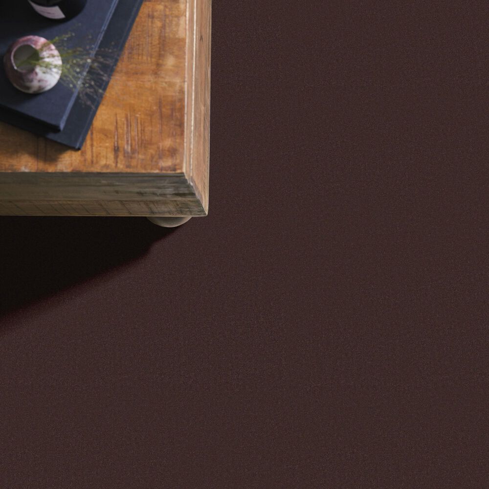 Anderson Tuftex Finery Carpet in Coffee Bean, , large