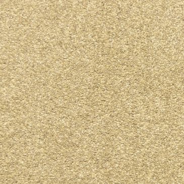 Dixie Home Debut Carpet in Marble, , large
