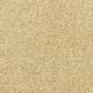 Dixie Home Debut Carpet in Marble, , large