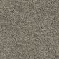 Dream Weaver Confetti II Carpet in Mountain View, , large