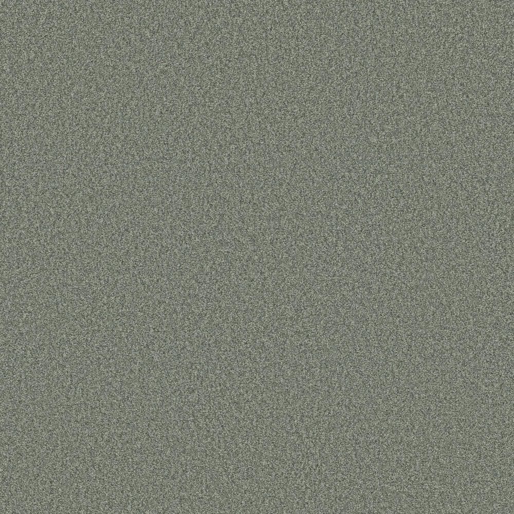 Shaw Tonal Comfort Ii Carpet in Meadow, , large