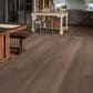 Shaw Vinyl Tile Ascent Natural Bevel Sierra 9" x 72" Vinyl Plank, , large
