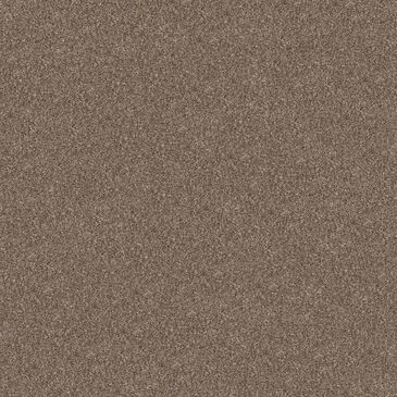 Shaw Yes You Can II Carpet in Honeycomb, , large