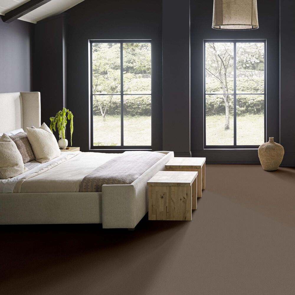 Anderson Tuftex Finery Carpet in Riverbank, , large