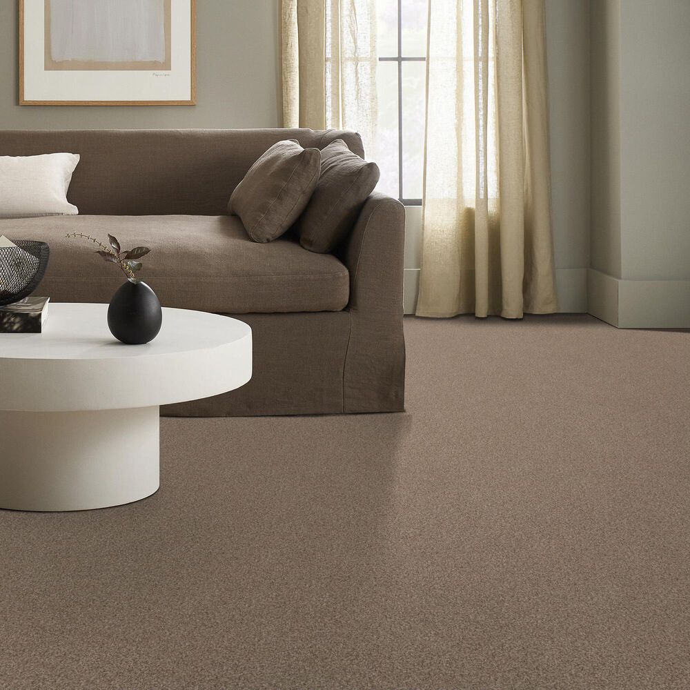 Anderson Tuftex Terra Nova Carpet in Nutshell, , large