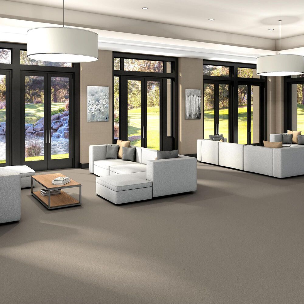 Shaw You Got This III Carpet in Natural, , large