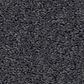 Shaw Las Cruces Carpet in Charter, , large