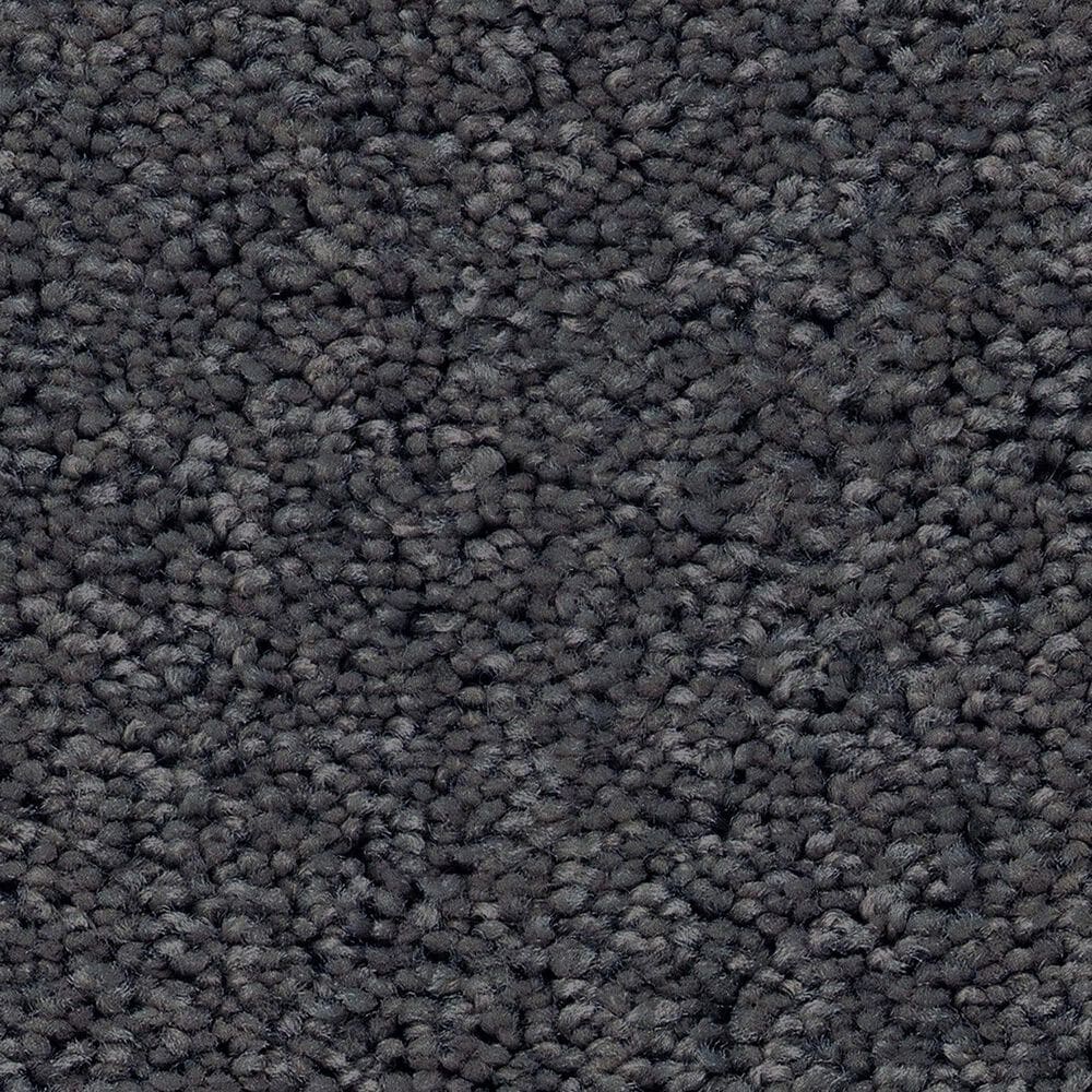 Shaw Las Cruces Carpet in Charter, , large