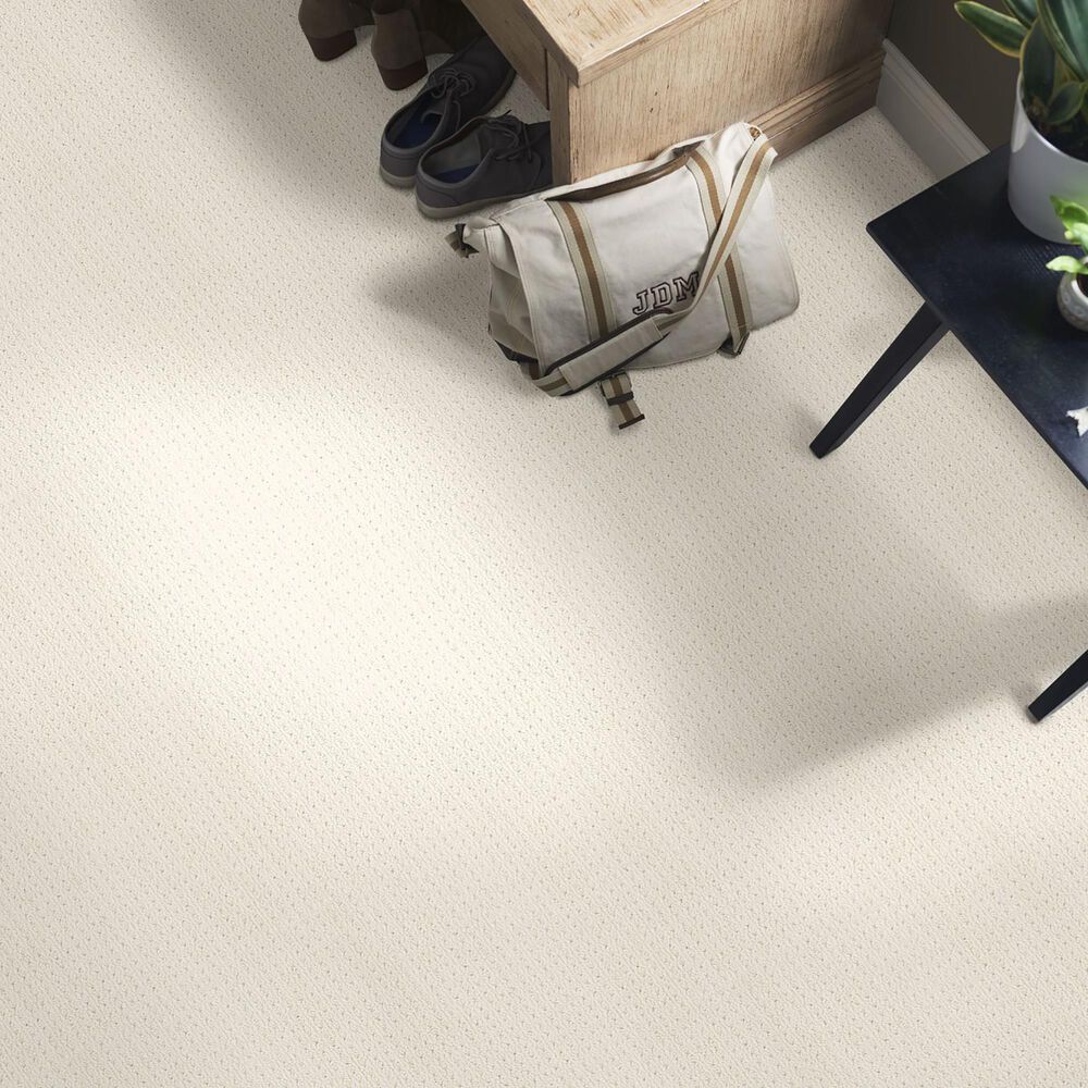 Anderson Tuftex Cabo Cove Carpet in Sparkling, , large