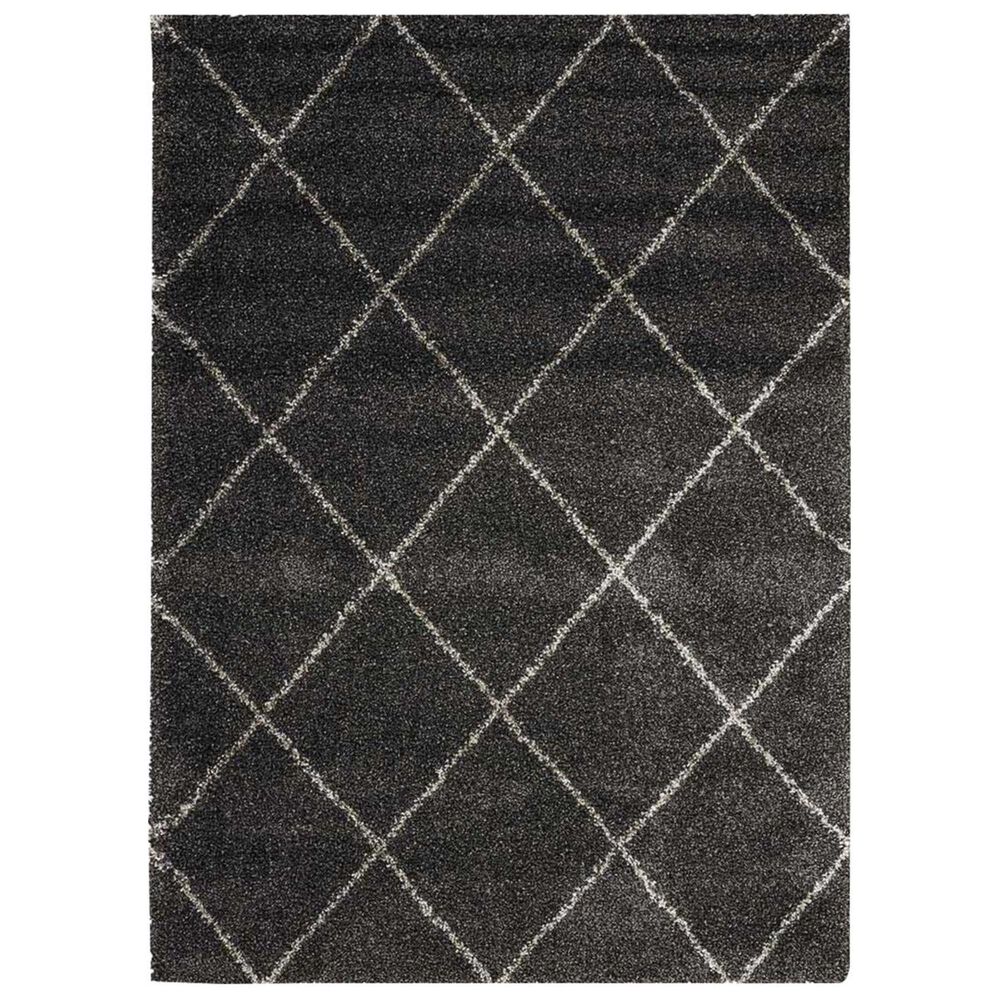 Nourison Brisbane BRI03 8"2" x 10" Charcoal Area Rug, , large