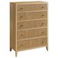Universal Furniture Avaline Carmen 5-Drawer Chest in Skylark, , large