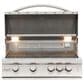 Blaze 32" Marine Grade Liquid Propane Gas Grill in Stainless Steel, , large