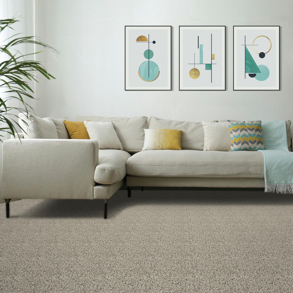 Mohawk Assorted Elements I Carpet in Silver Dollar, , large