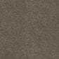 Mohawk Coastal Luxury III Carpet in Dolphin, , large