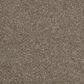 Anderson Tuftex Barracan Classic III Carpet in Mesquite, , large