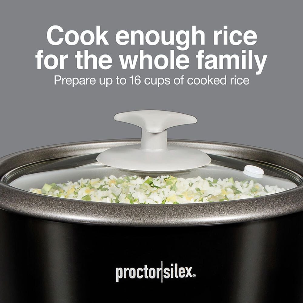 Deal Partners, Inc 16-Cup Rice Cooker and Steamer in Black, , large